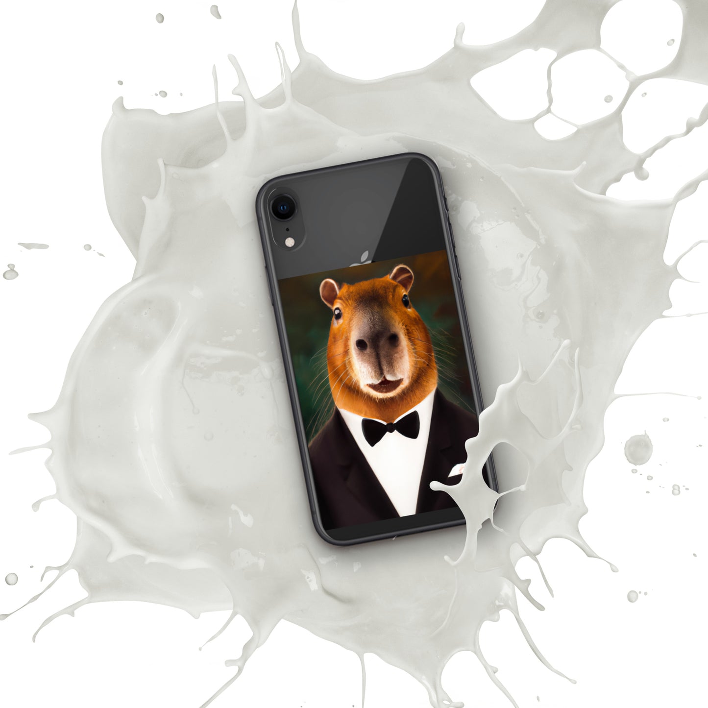 Carcasa para iPhone