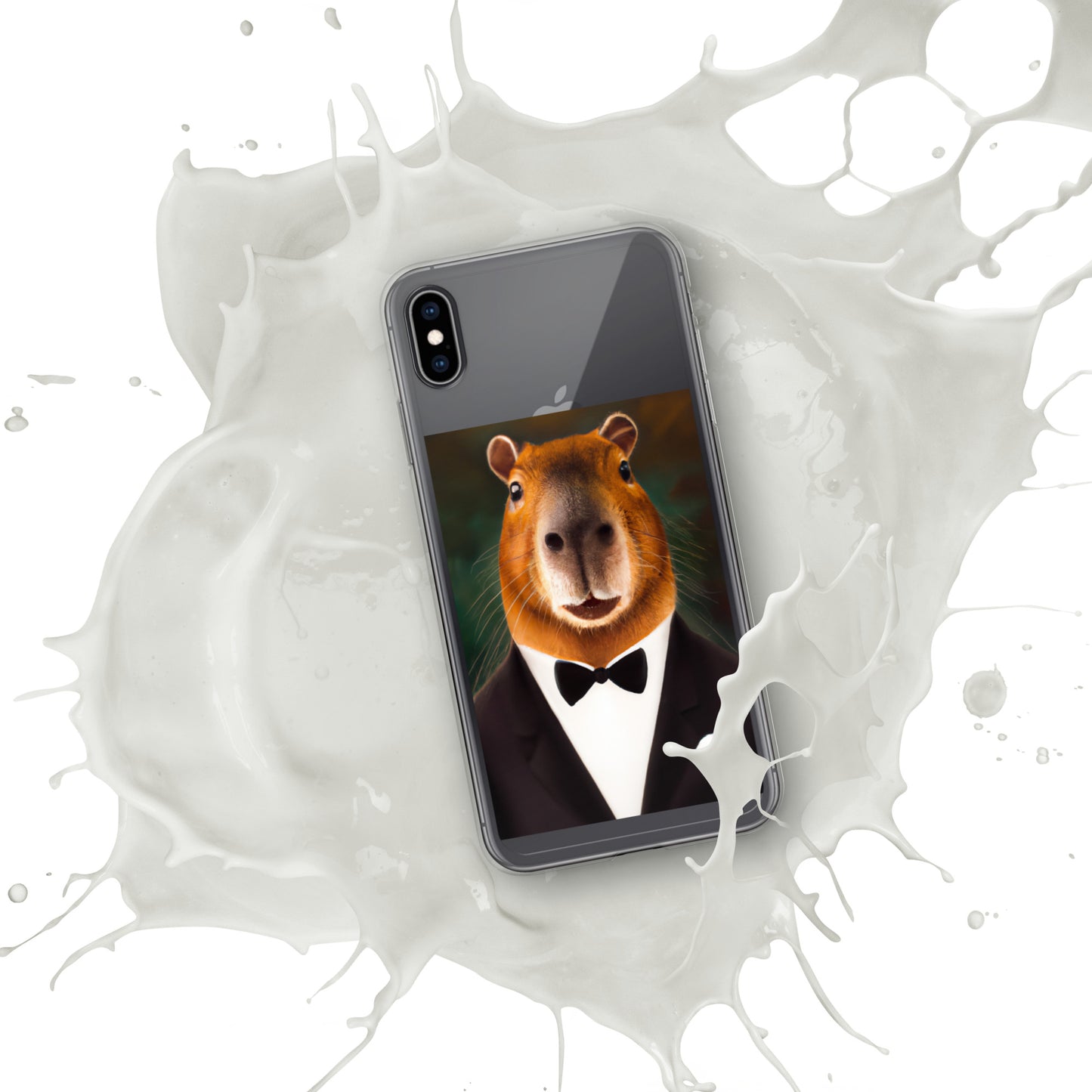 Carcasa para iPhone