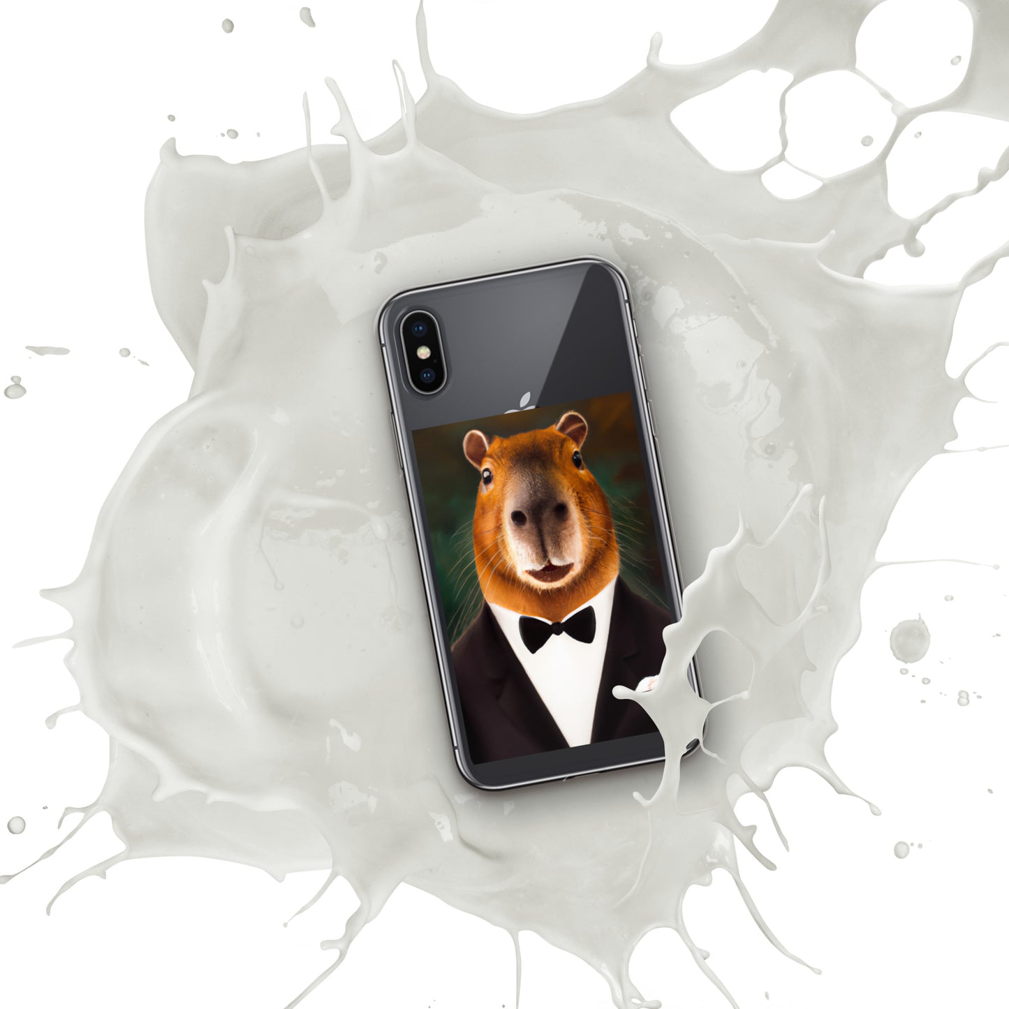 Carcasa para iPhone